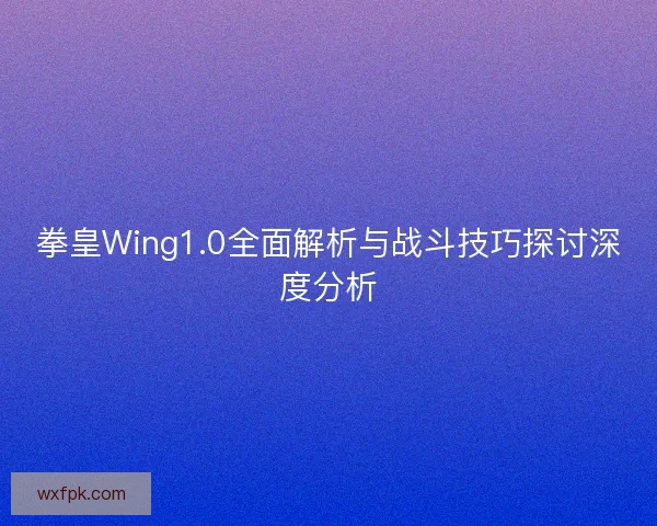拳皇Wing1.0全面解析与战斗技巧探讨深度分析